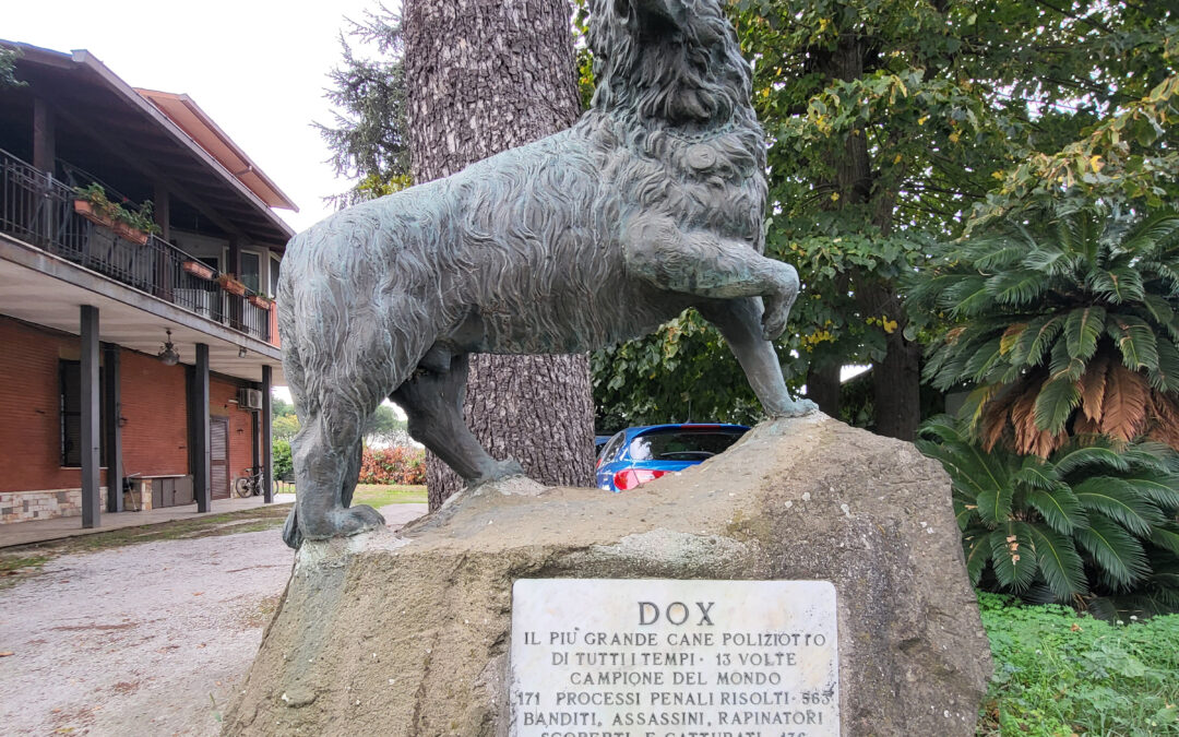 Il mitico cane Dox.